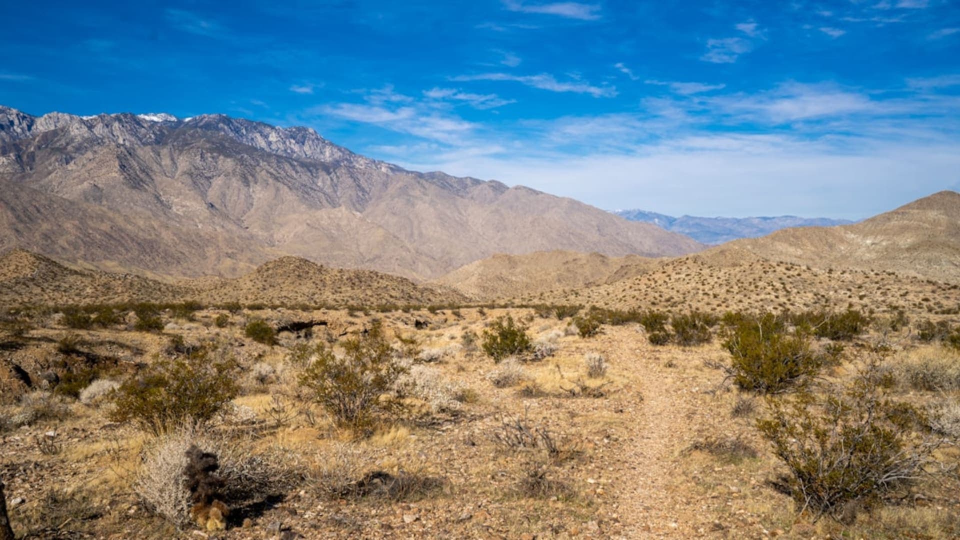 Palm Springs city skyline
