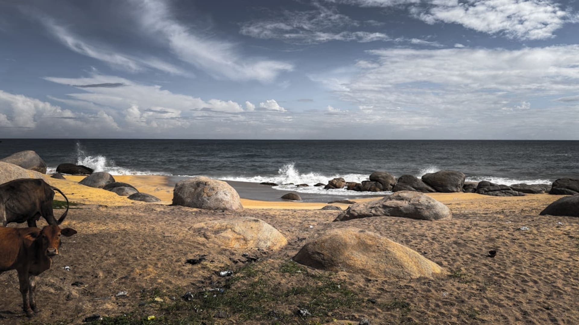 Negombo city skyline