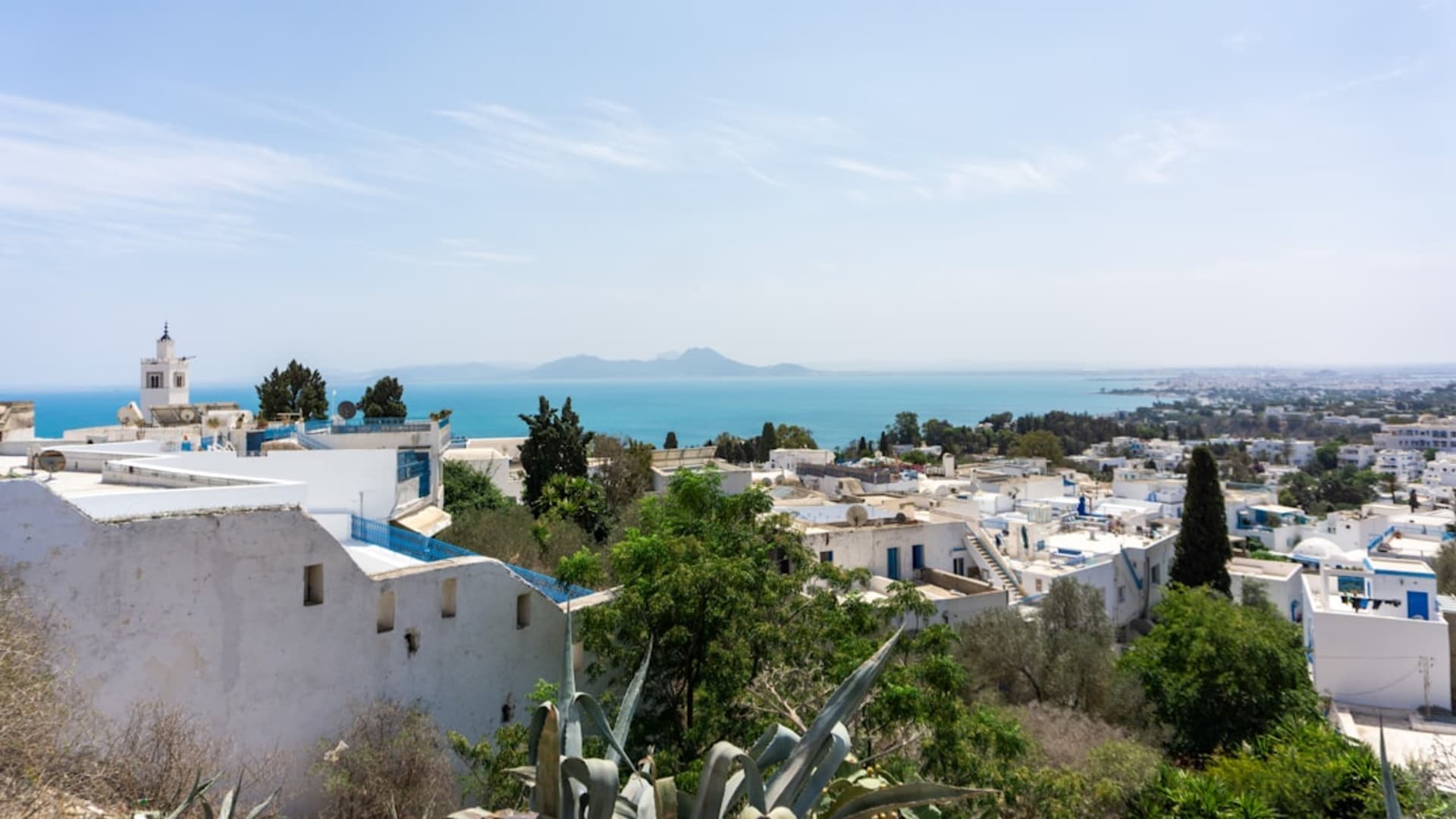 Tunis