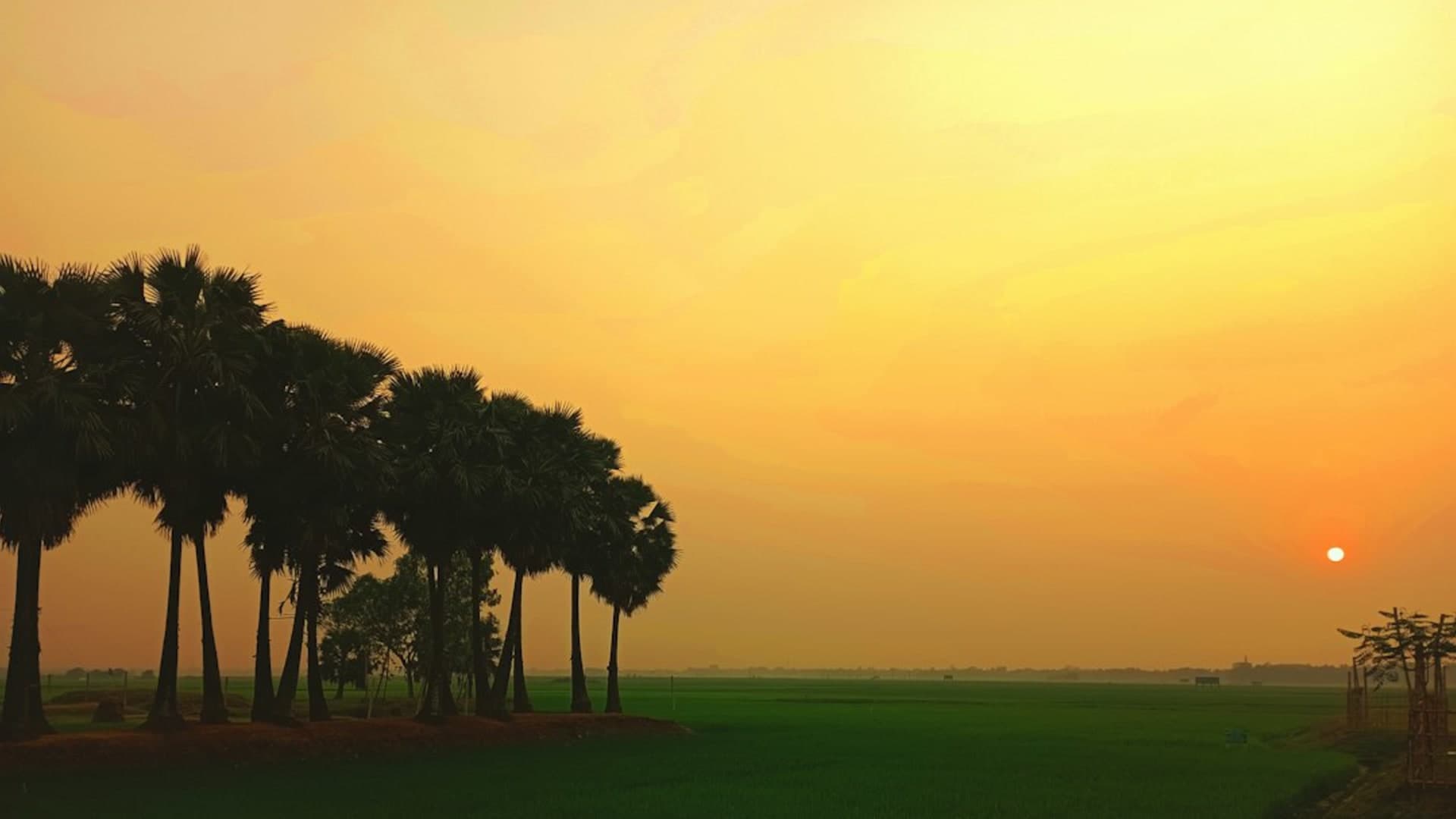Cox's Bazar city skyline