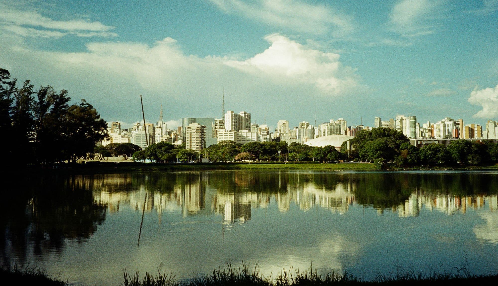 São Paulo’s skyline reflected in the lake at Ibirapuera Park beneath green trees.
