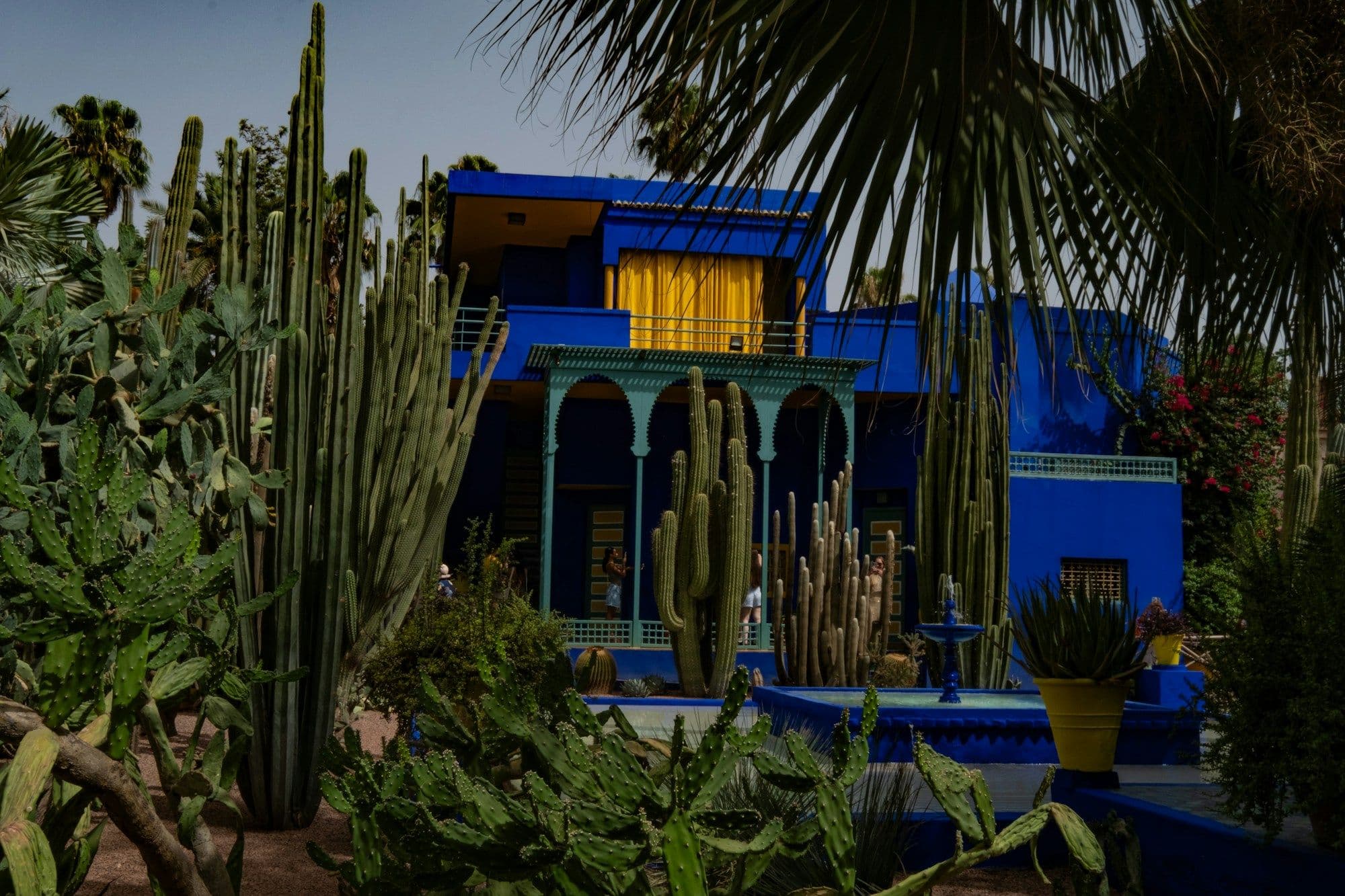 The cobalt-blue villa of the Jardin Majorelle with yellow window frames, framed by tall cacti and palms.