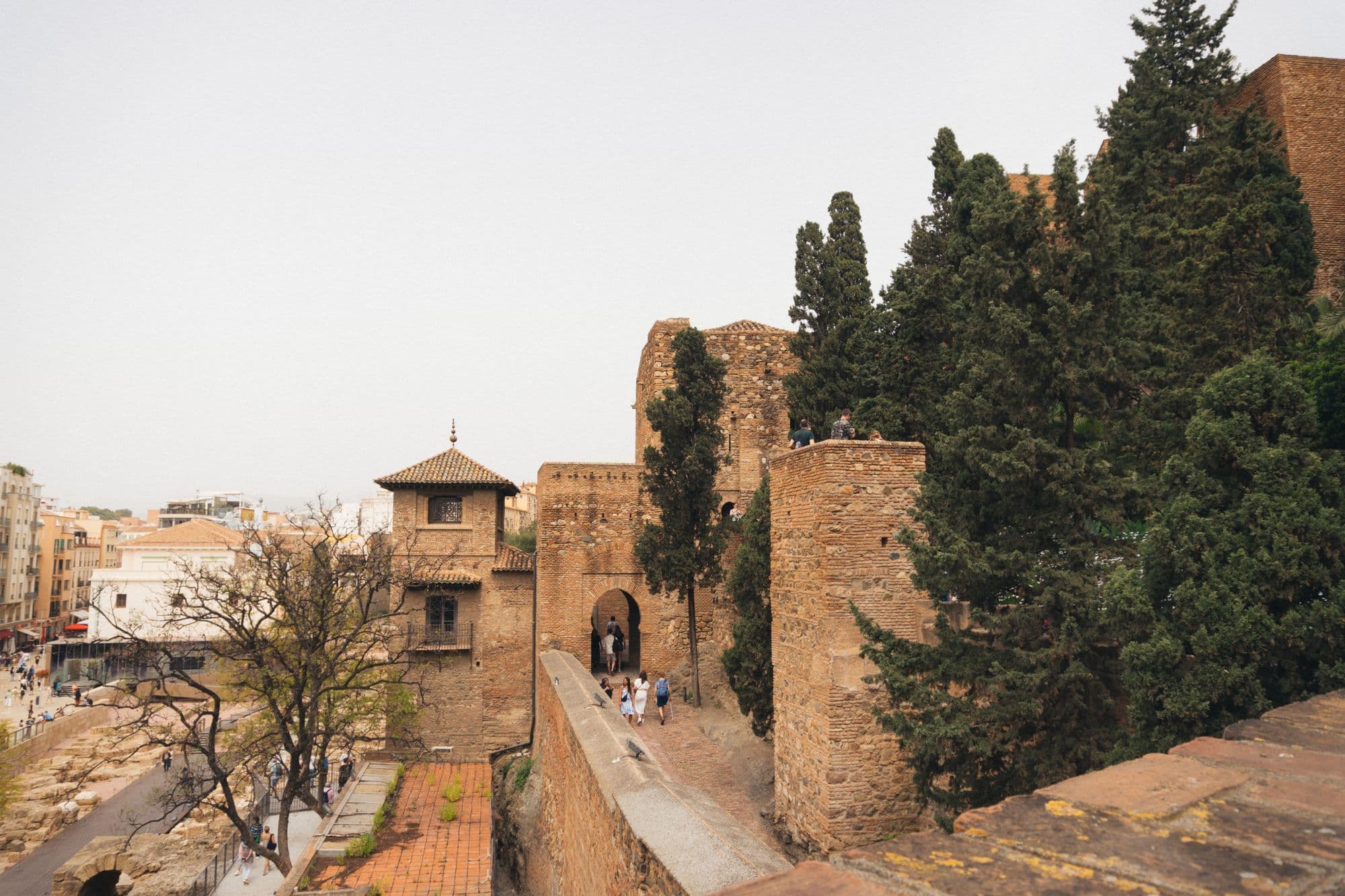The stone walls, towers and cypress trees of the Alcazaba fortress in Málaga, with the city's buildings beyond.