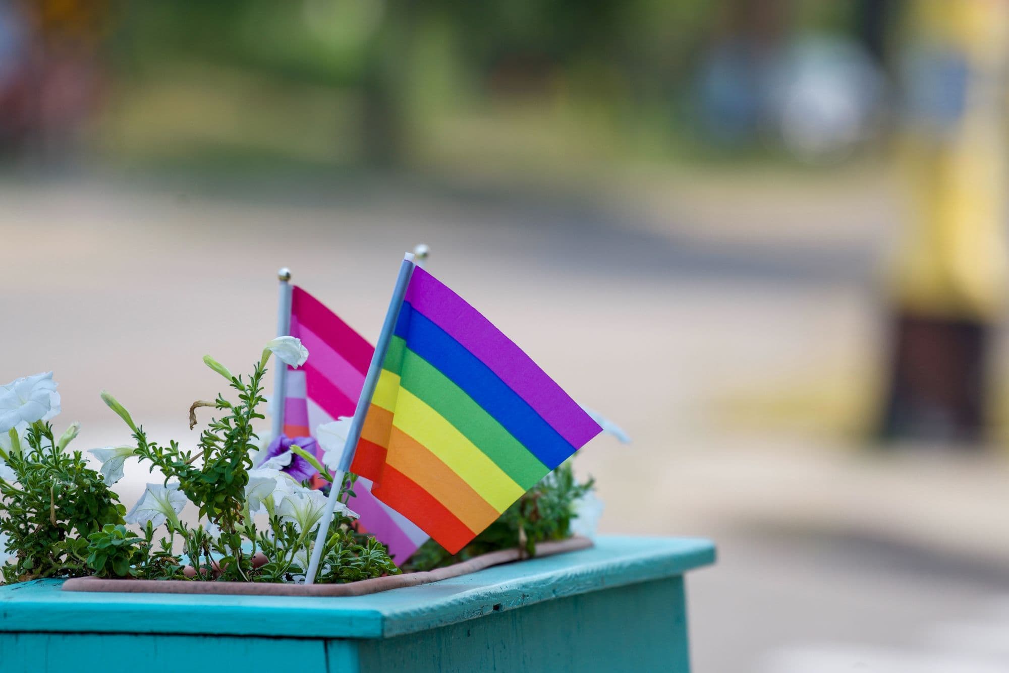 Rainbow flags stand in flower-filled planters on a city street.