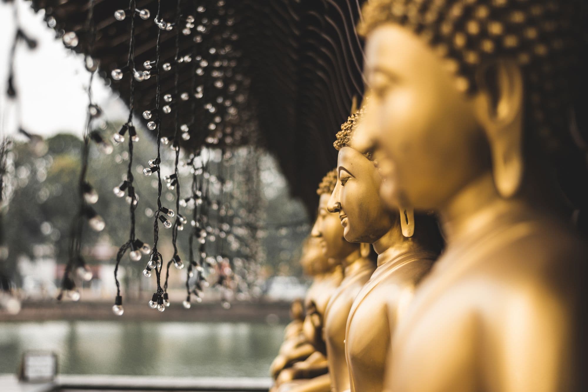 A row of golden seated Buddha statues in profile, with strings of small lights hanging in the foreground in Colombo.
