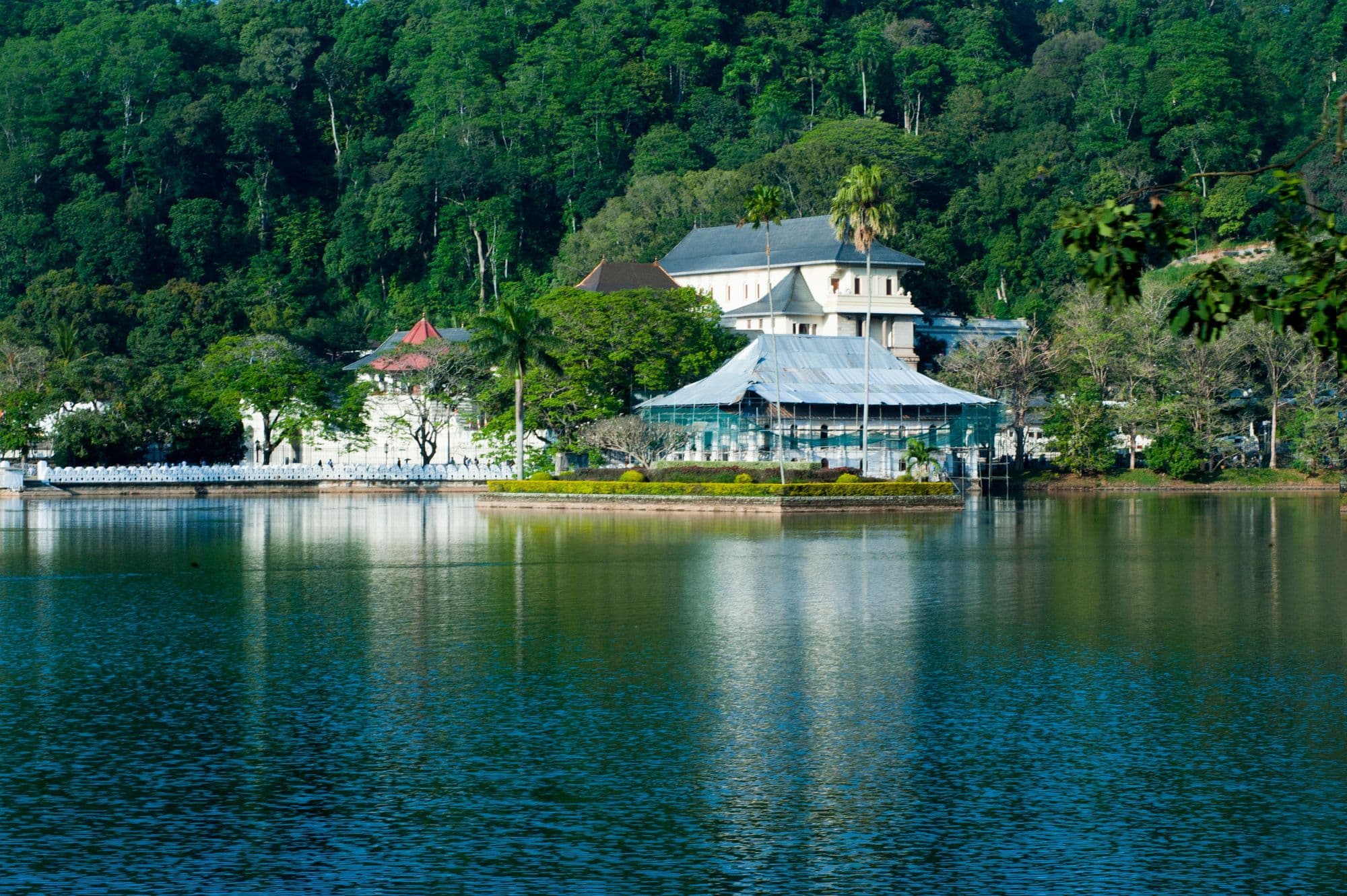 The white buildings of the Temple of the Tooth on the far shore of Kandy Lake, reflected in green water below forested hills.