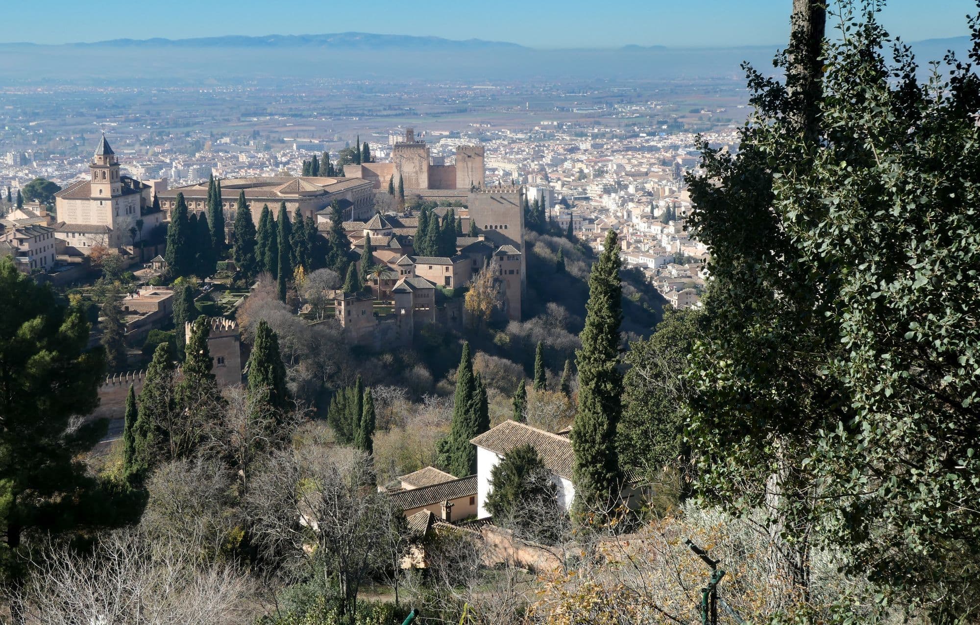 The walls and towers of the Alhambra on its wooded hill, framed by cypress trees, with Granada spreading out below.