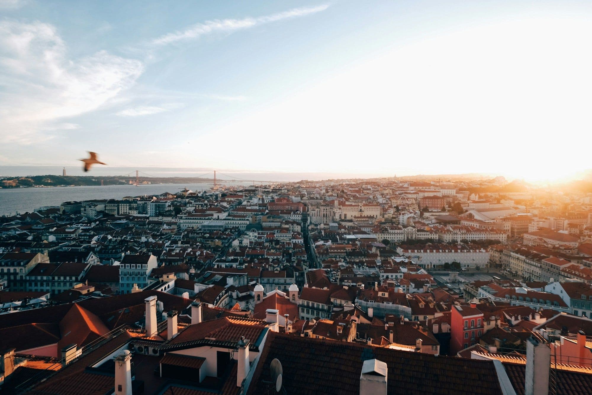 An aerial view over Lisbon's red rooftops towards the river at sunset, with a gull flying across the sky.