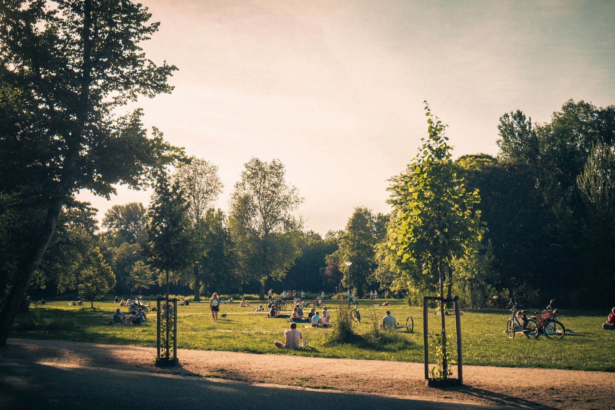 People relaxing on grass beneath mature trees in Amsterdam's Vondelpark.