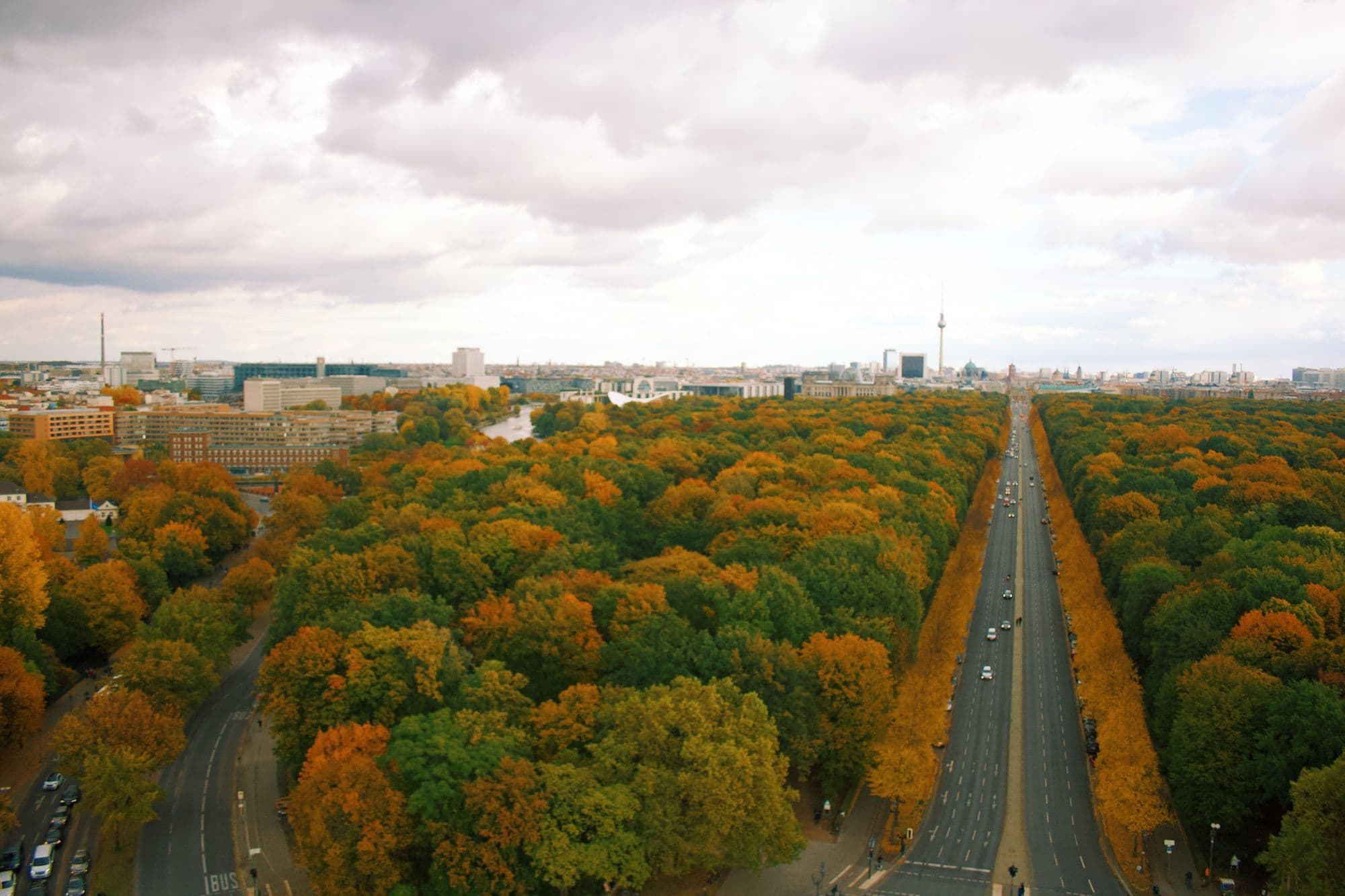 Autumn trees fill Berlin's Tiergarten beneath a cloudy city skyline.