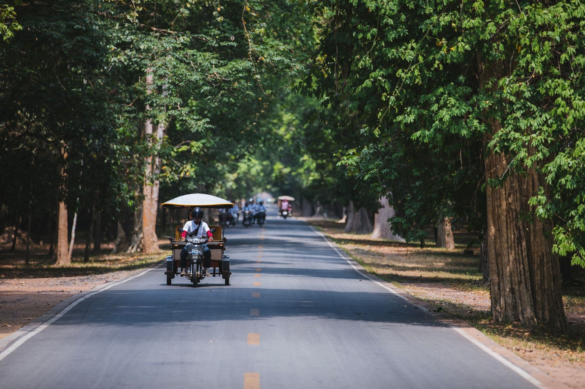 A tuk-tuk with a white canopy drives down a straight road lined with tall trees on a sunny day.