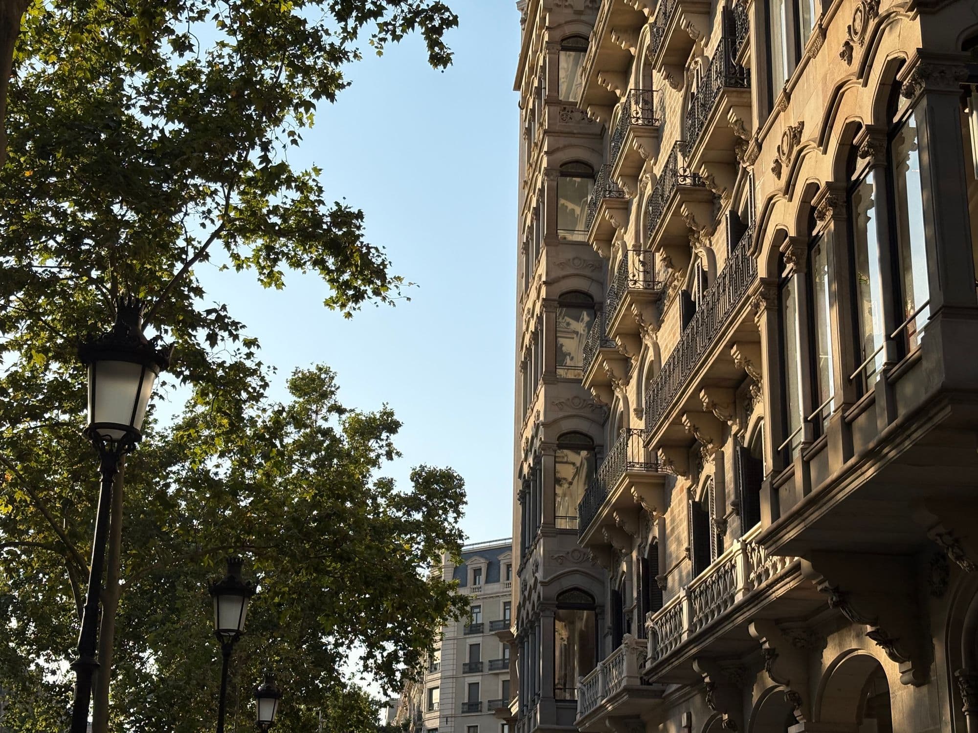 A Barcelona street corner and stone Gothic architecture are lit by the late afternoon sun.