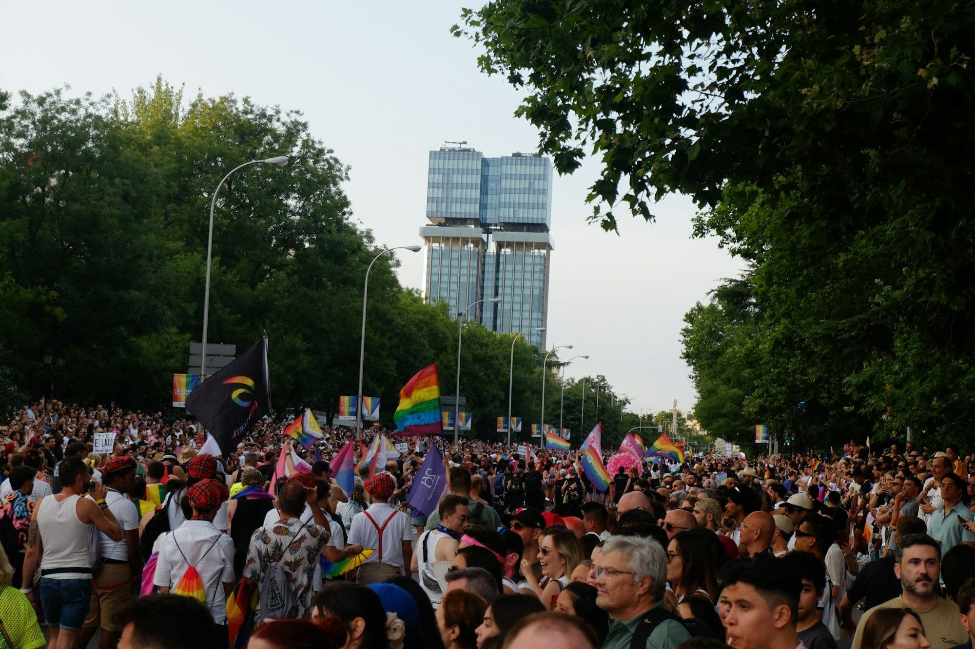 A packed crowd holds rainbow flags high beneath an open sky.