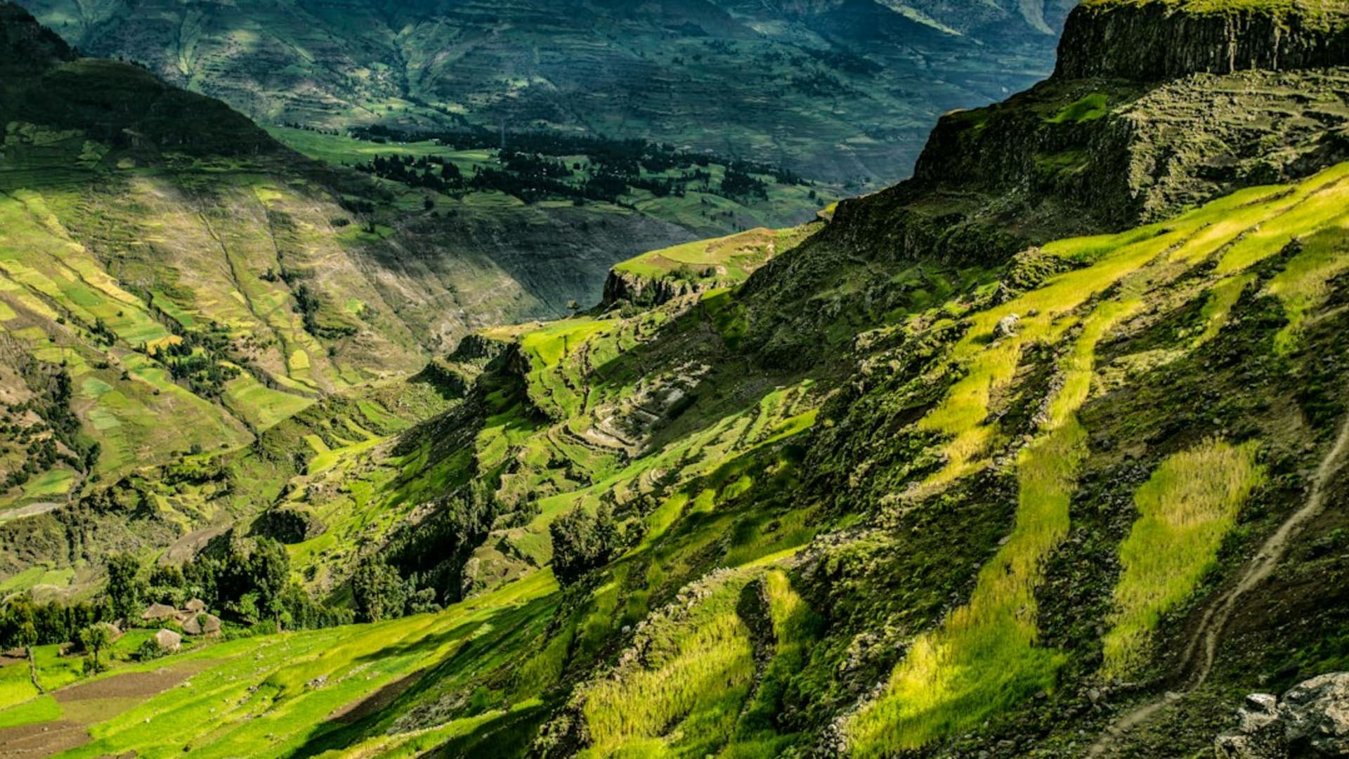 Tigray Region